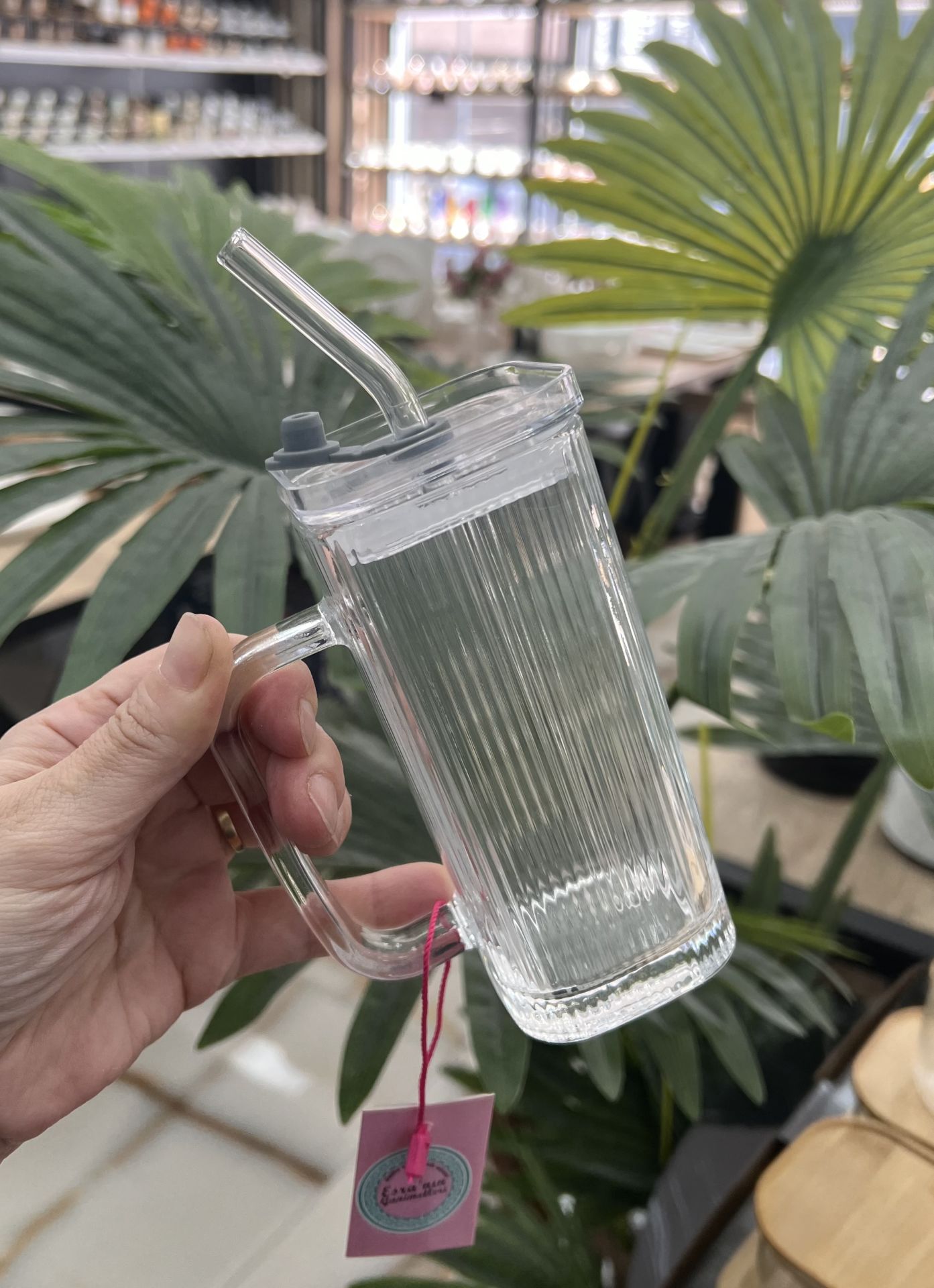 Cam Kapaklı Kulplu-Pipet Hediyeli Pinteres Kupa 290ml