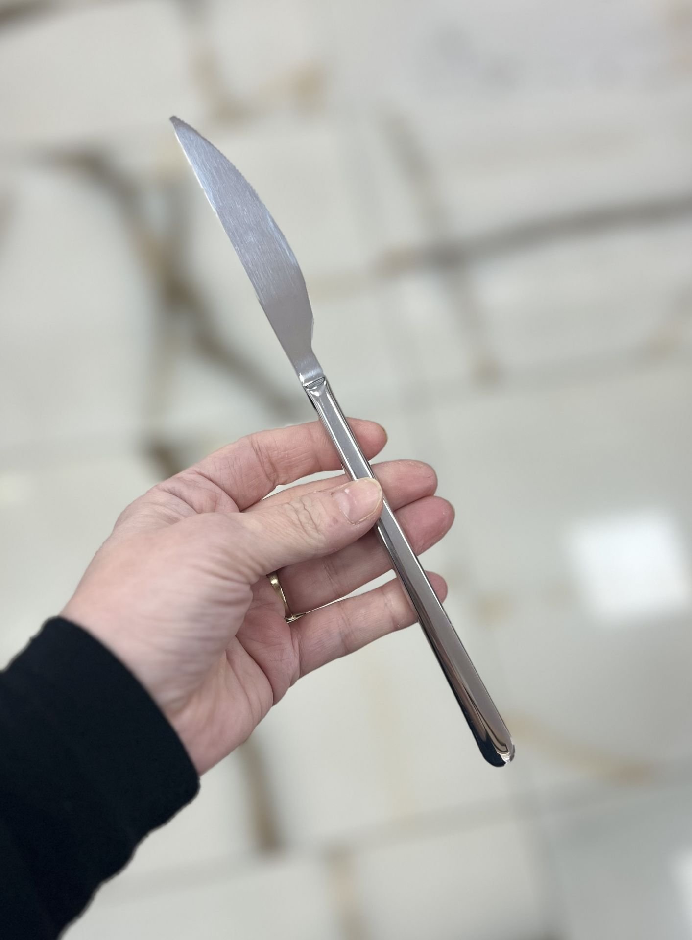 Alegra 18/10 Yemek Bıçağı 2 Adet