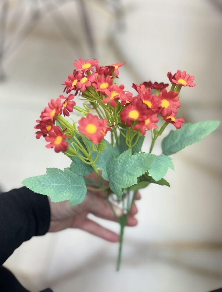 PAPATYA (30cm 1 Demet