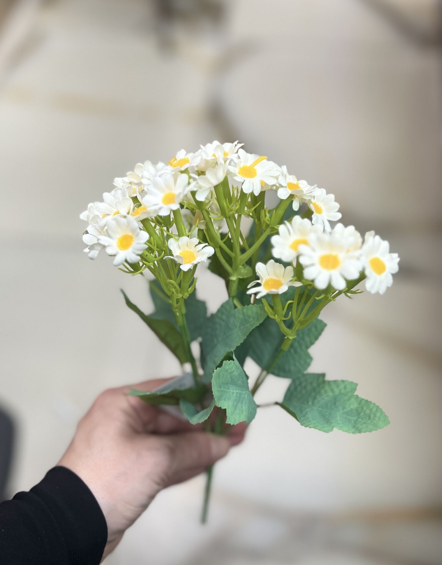 PAPATYA (30cm 1 Demet