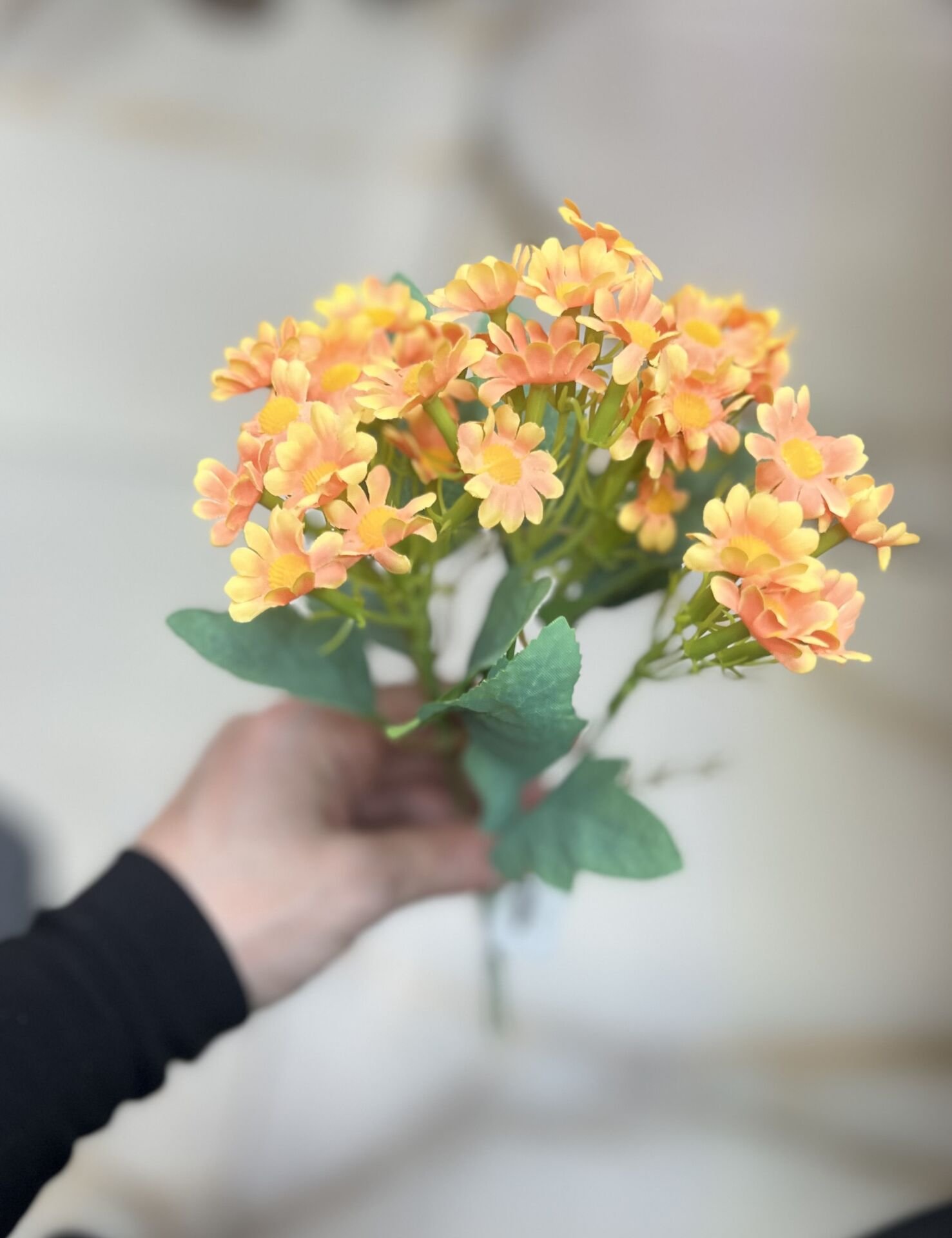 PAPATYA (30cm 1 Demet