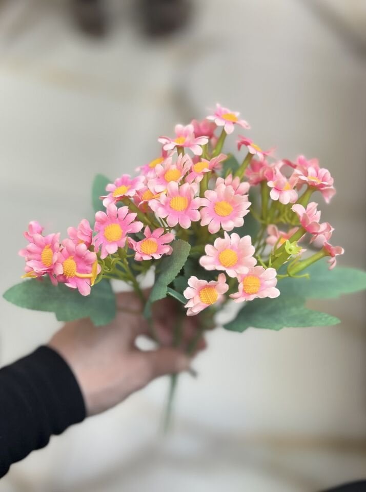 30cm 1 Demet PAPATYA