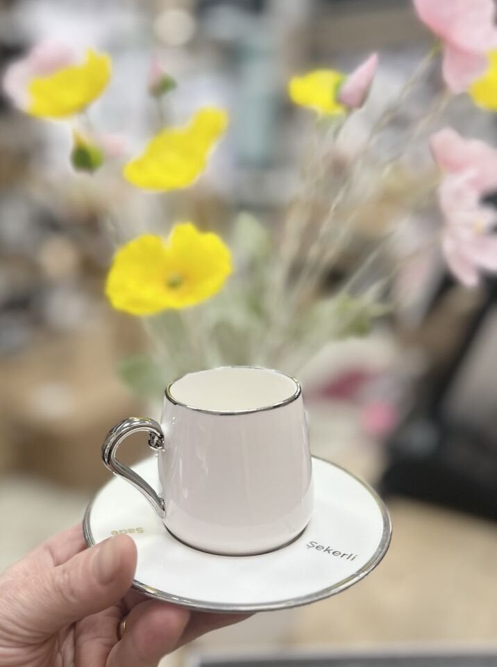 6 KİŞİLİK SILVER KAHVE FİNCAN TKM (MIEN)