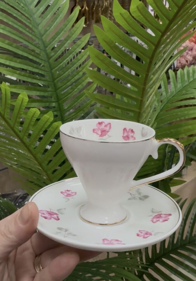 3 RENKLİ 6  KİŞİLİK FİNCAN TKM(