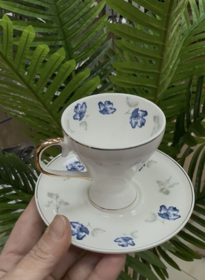 3 RENKLİ 6  KİŞİLİK FİNCAN TKM(