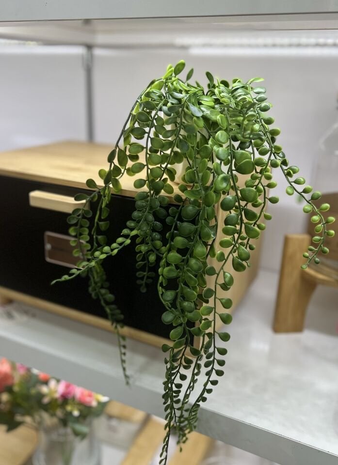 Ortalama 40cm  Sarkıt Çiçek