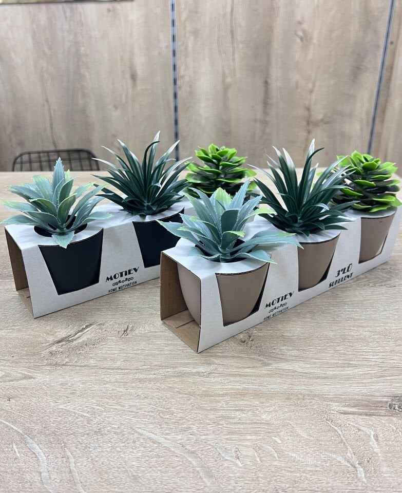 3 Adet Çiçek Okaliptus Set
