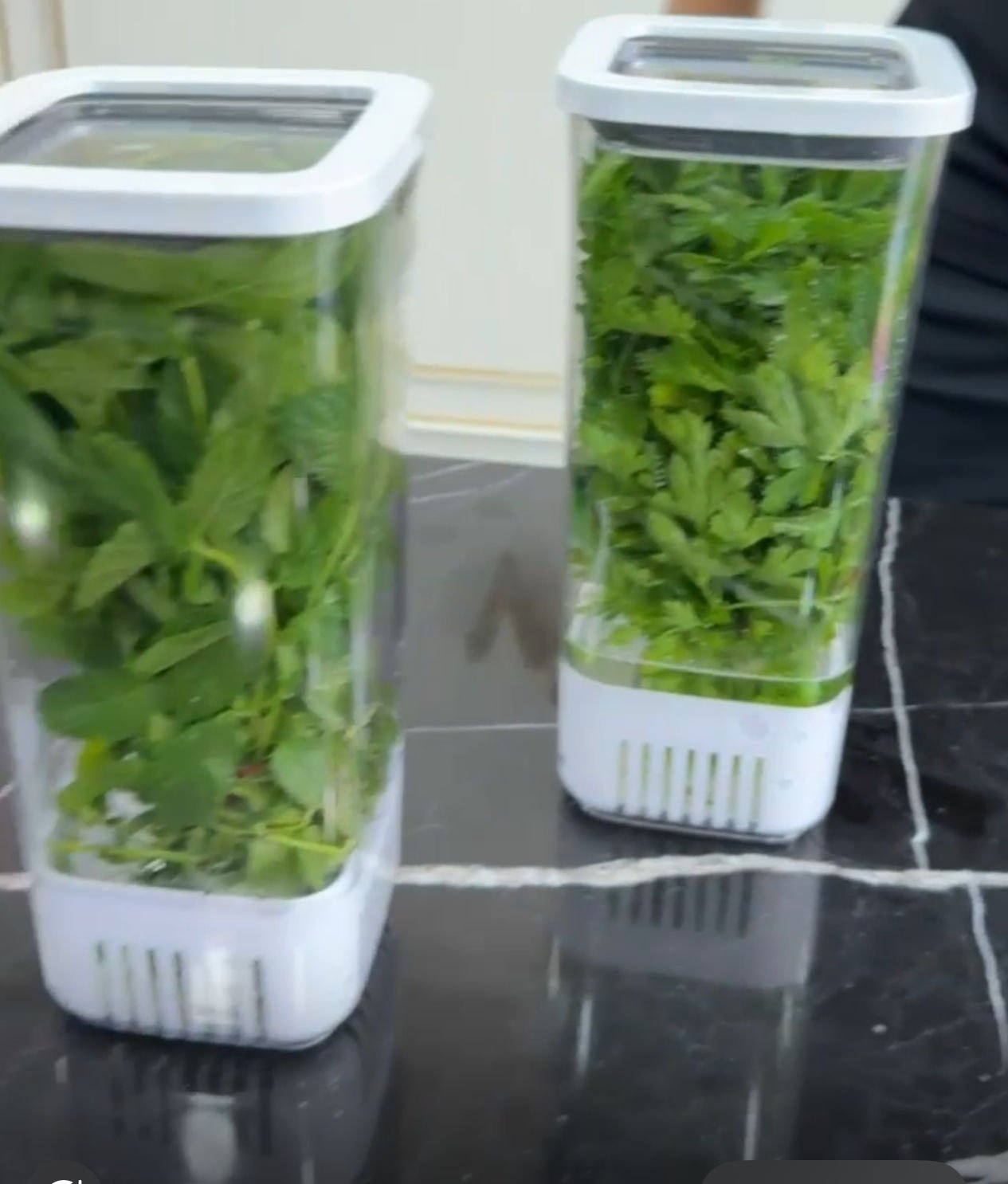 Vp007- Suda Yeşillik  Saklama Kabı 1700ml  (adet)