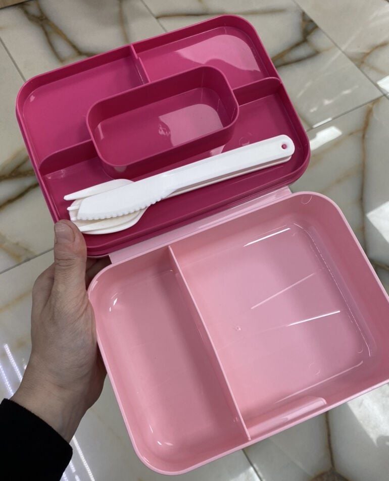 Yemek Taşıma Beslenme Kabı