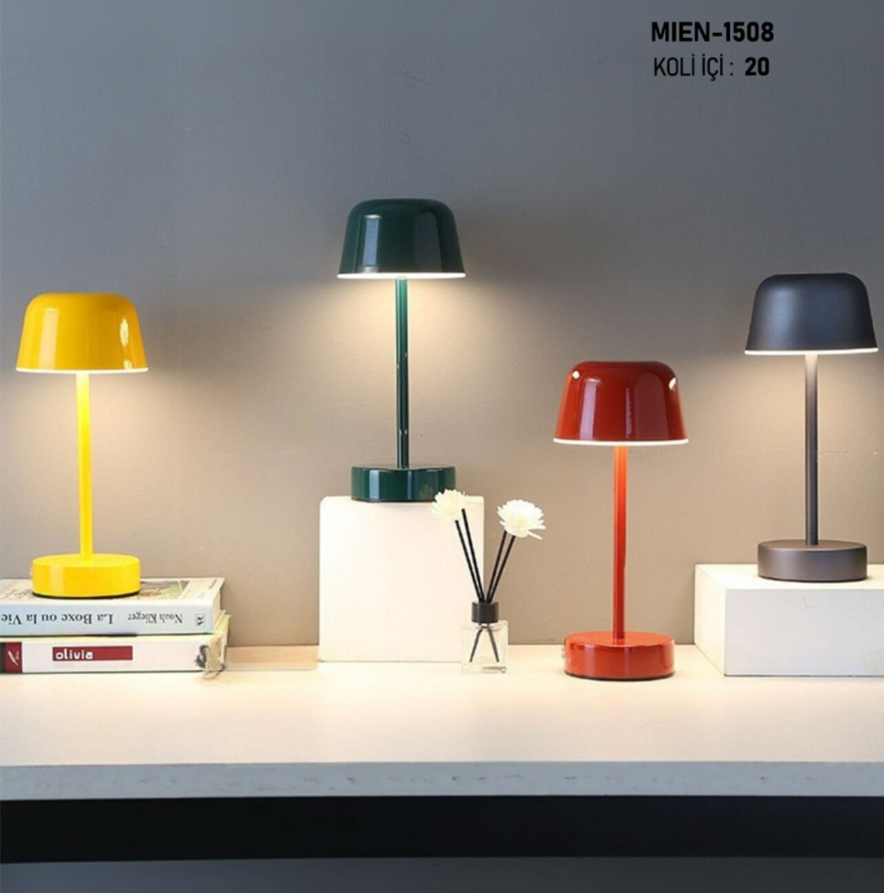 LED’Li RENKLİ LAMBA