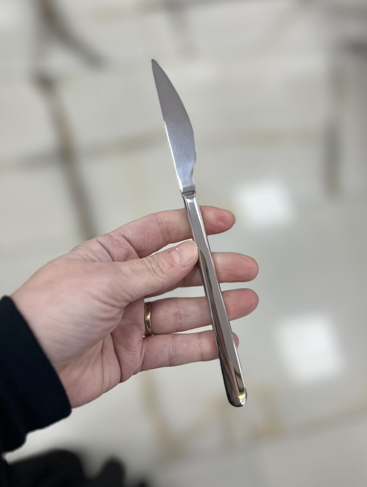 Alegra 18/10 Tatlı Bıçağı 2 Adet